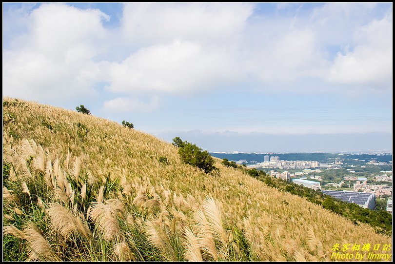 尋找芒花秘境‧秀才登山步道