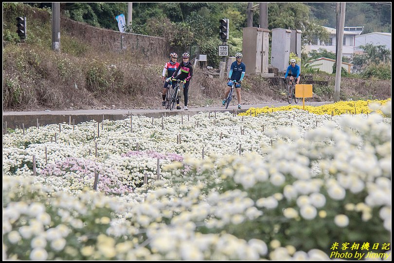 2018銅鑼杭菊‧田野、鐵道、採菊樂