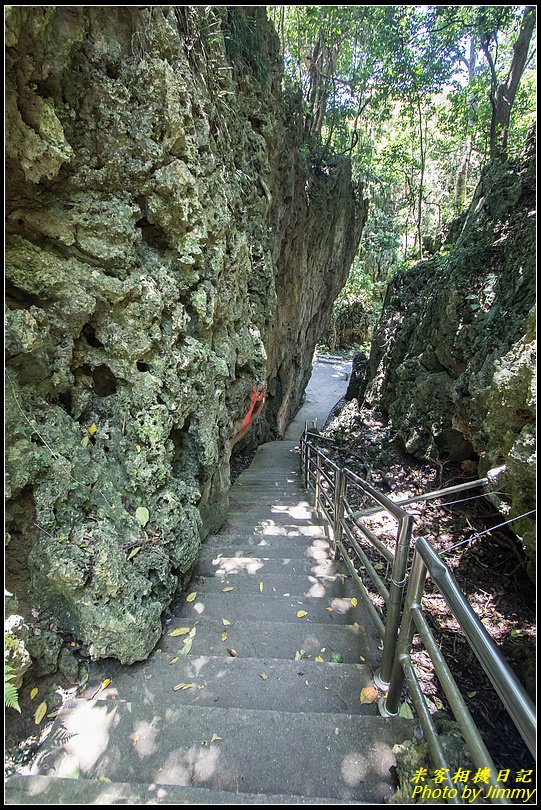 墾丁森林遊樂區‧地質與生態奇景