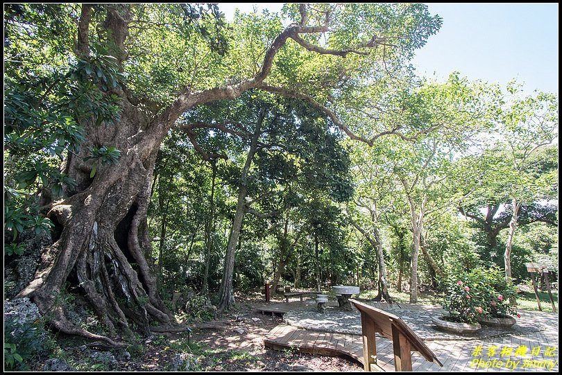 墾丁森林遊樂區‧地質與生態奇景