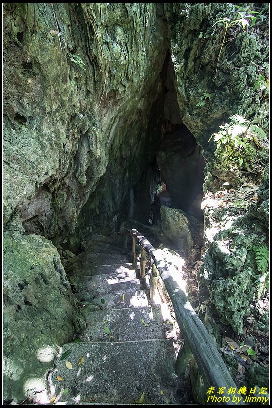 墾丁森林遊樂區‧地質與生態奇景