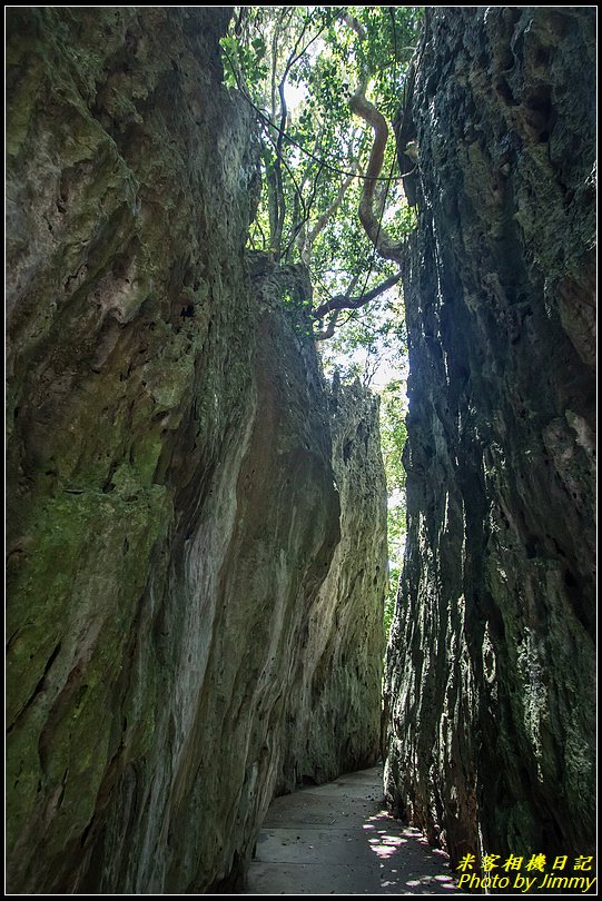 墾丁森林遊樂區‧地質與生態奇景