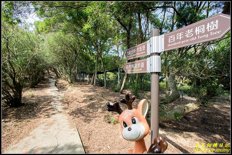 北竿大坵島‧梅花鹿樂園