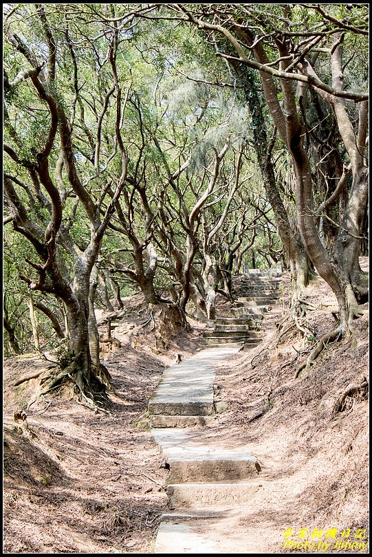 北竿大坵島‧梅花鹿樂園