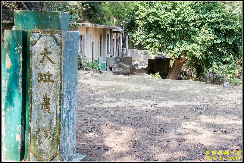 北竿大坵島‧梅花鹿樂園