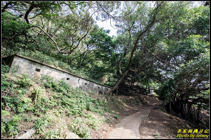 北竿大坵島‧梅花鹿樂園