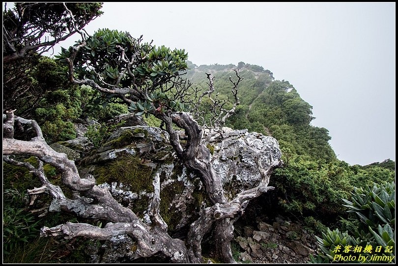 合歡東峰步道‧笑看風起雲湧時