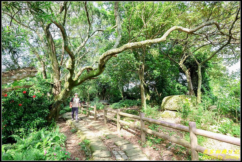 中和健行‧國旗嶺、長壽山、圓通寺步道