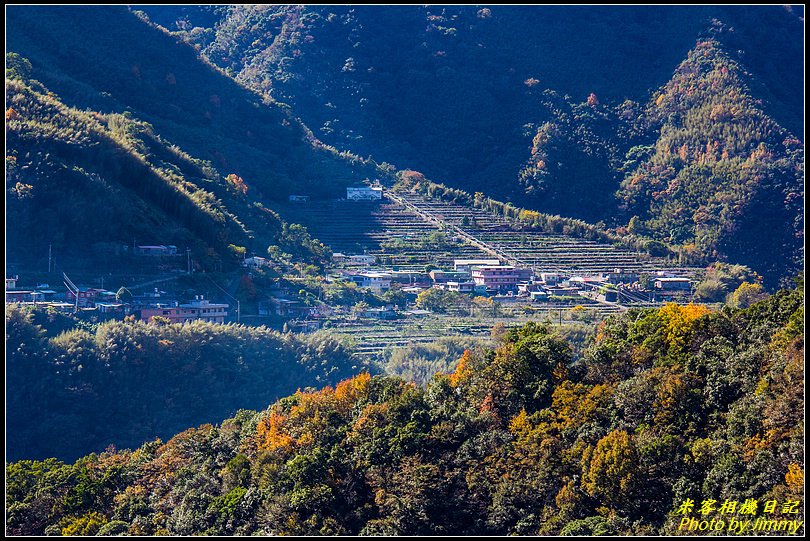 玉峰道路楓情畫