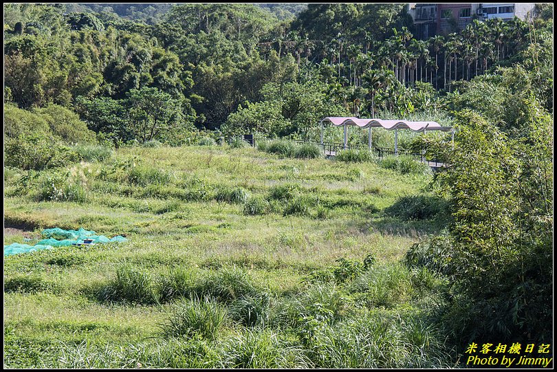 兩蔣園區裡的清幽秘境‧頭寮生態步道