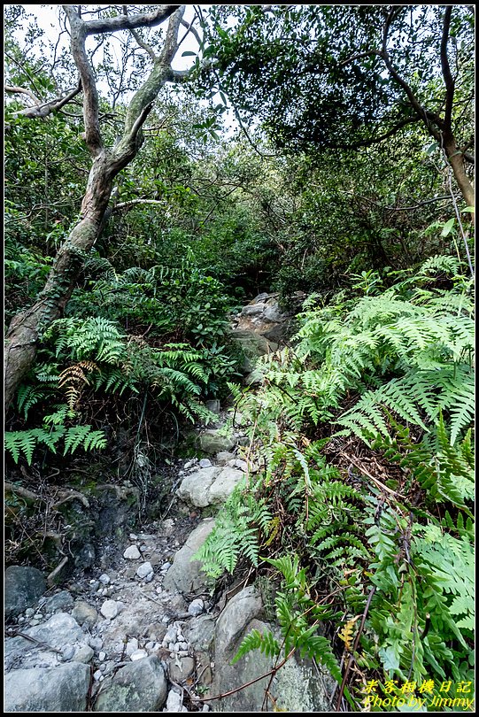 大砲岩、石壇山‧天然岩場小體驗