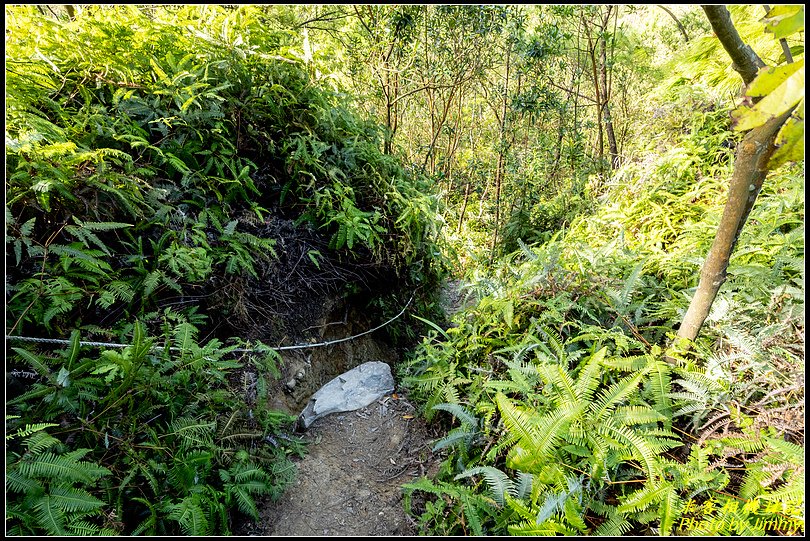 大砲岩、石壇山‧天然岩場小體驗