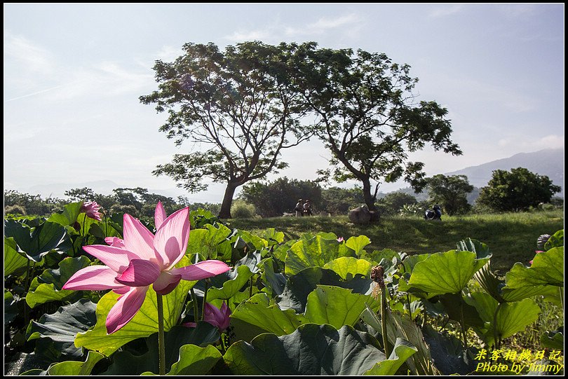 竹東賞荷‧頭前溪生態公園