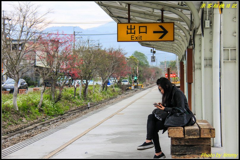 橫山車站‧櫻花與火車的絕美搭配