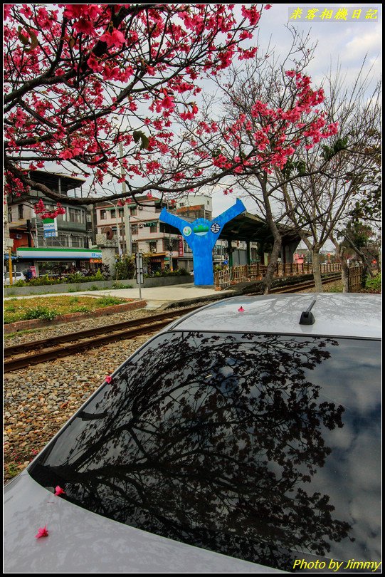 橫山車站‧櫻花與火車的絕美搭配