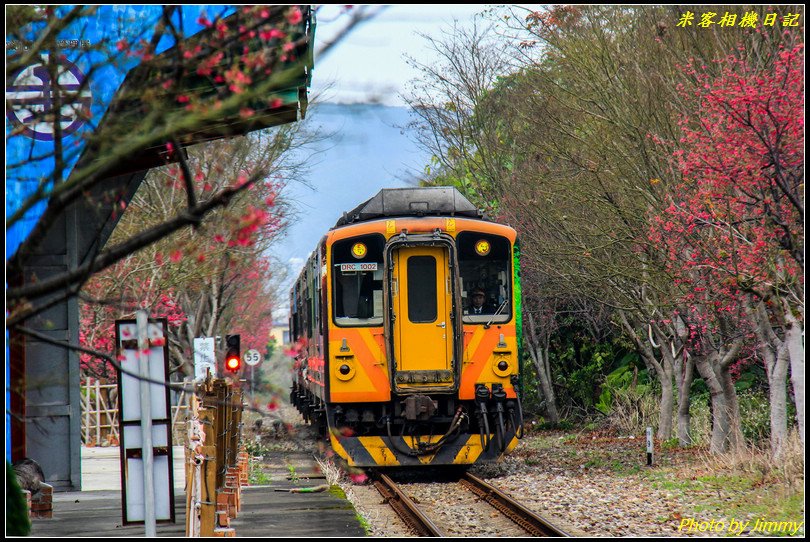 橫山車站‧櫻花與火車的絕美搭配