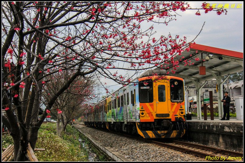 橫山車站‧櫻花與火車的絕美搭配