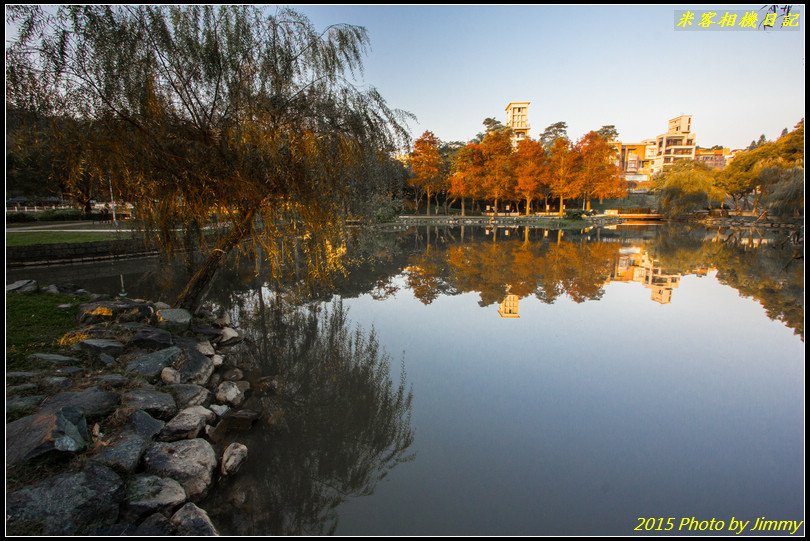 大湖公園‧深秋落羽松