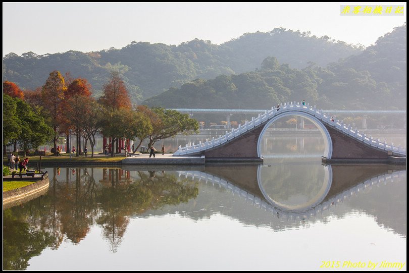 大湖公園‧深秋落羽松