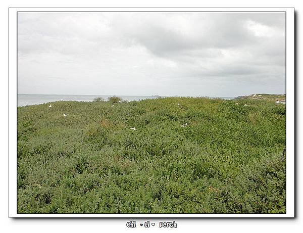 DSC09547.jpg