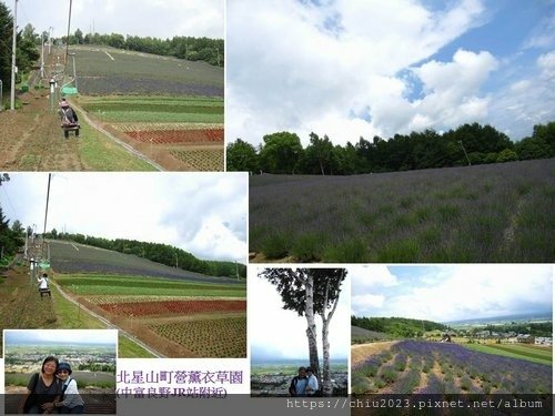 20120706-北星山町薰衣草園.jpg