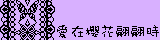 ※愛在櫻花翩翩時※