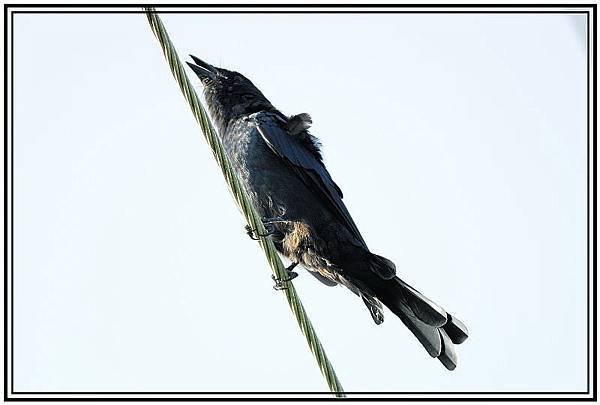 DSC_5187.jpg
