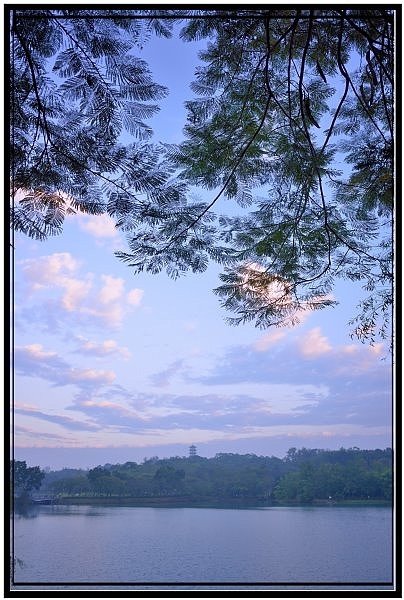 DSC_2078.jpg
