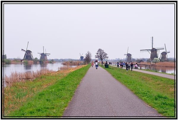 DSC_9192.jpg