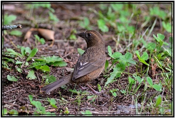 DSC_5868.jpg