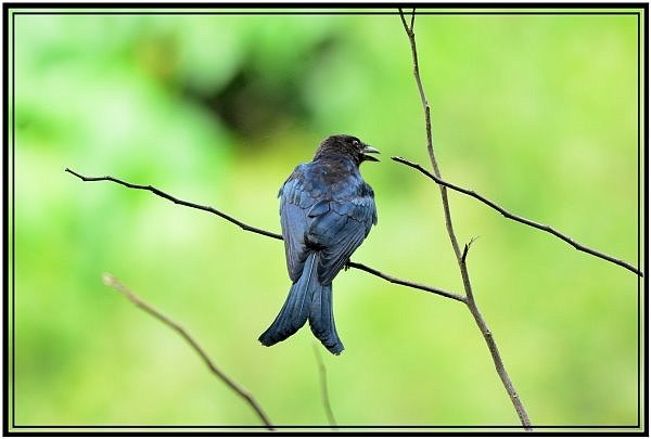 DSC_8786.jpg