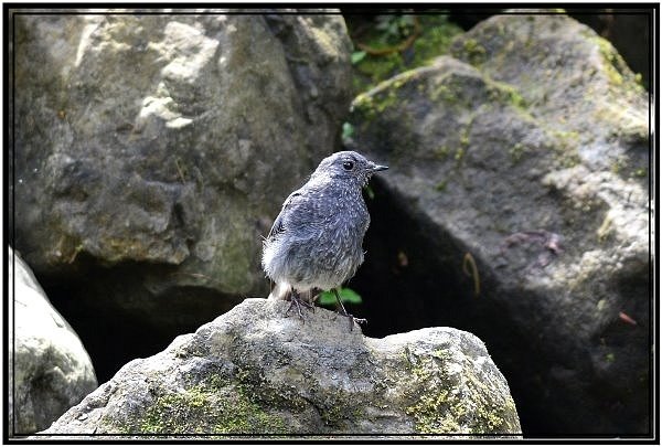 DSC_1147.jpg