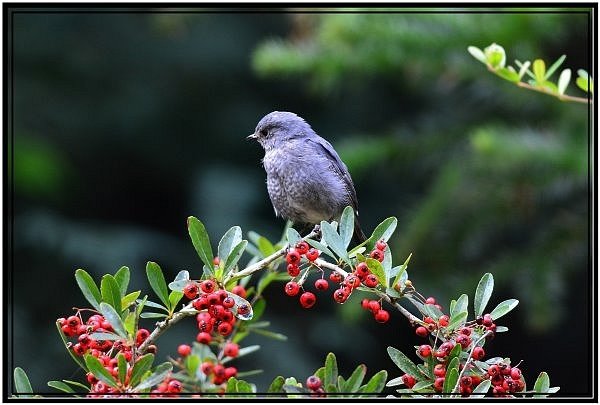 DSC_1222.jpg
