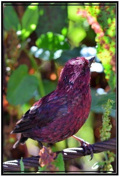 DSC_4311.jpg