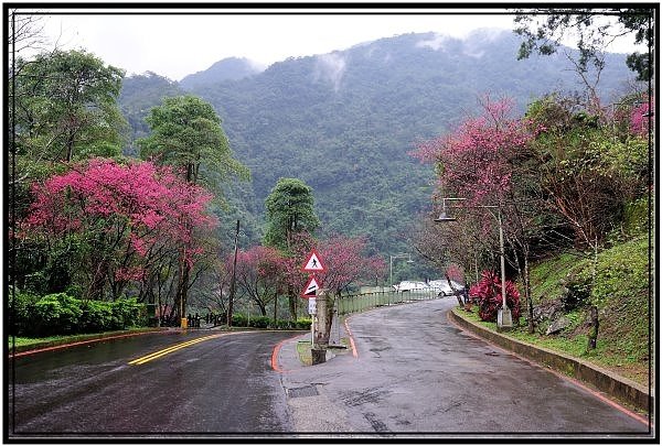 DSC_9167.jpg