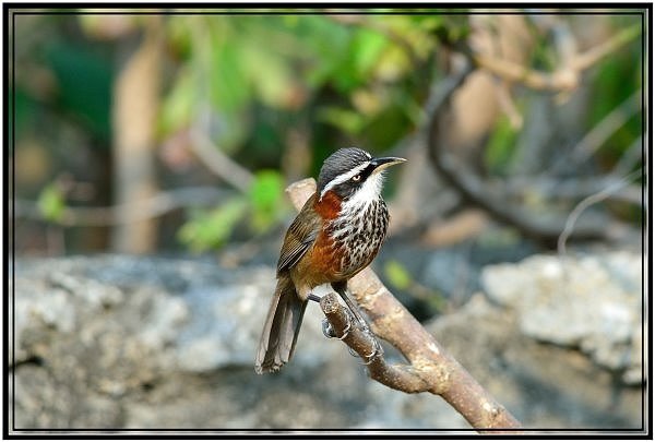 DSC_5661.jpg
