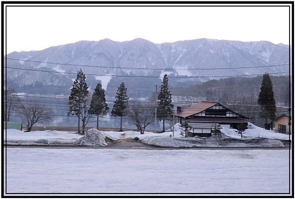 DSC_1033.jpg