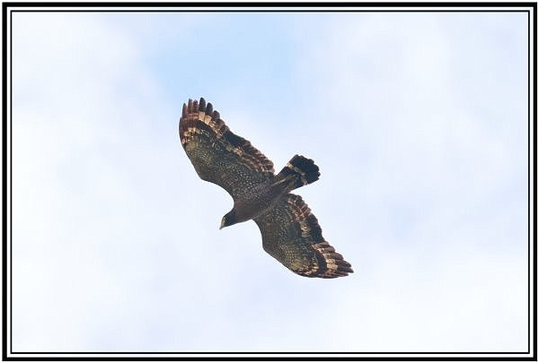 DSC_9081.jpg