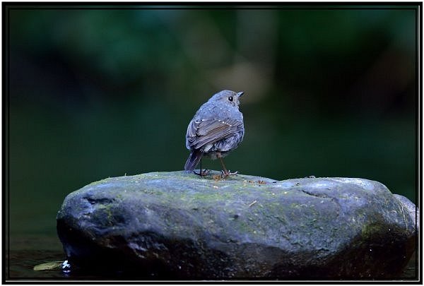 DSC_6174.jpg