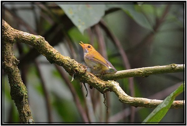 DSC_6484.jpg