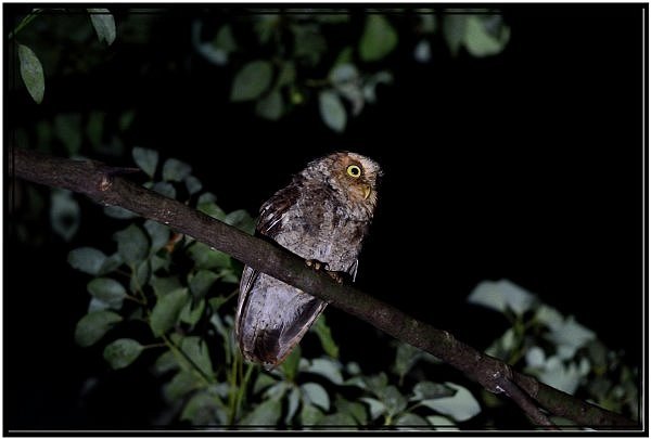 DSC_3854.jpg
