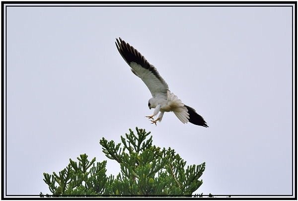 DSC_7516.jpg