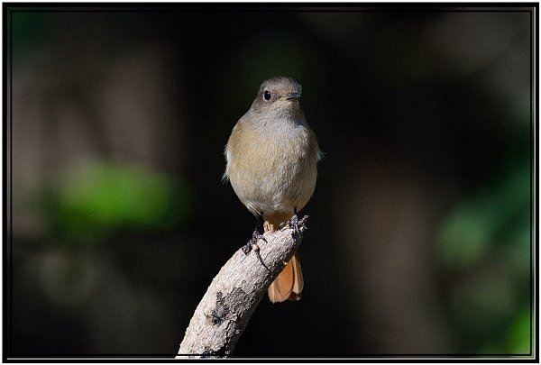 DSC_0080.jpg