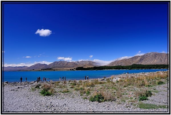 DSC_8657.jpg