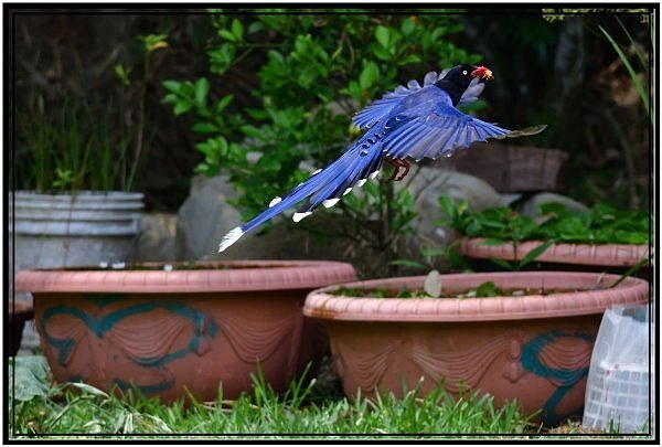 DSC_2164.jpg
