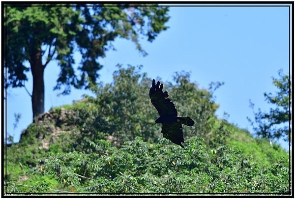 DSC_1146.jpg