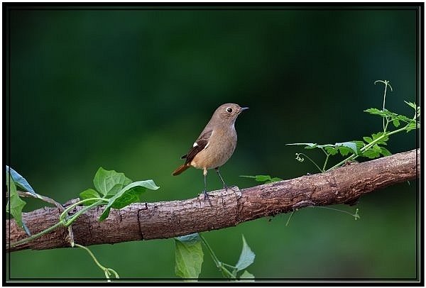 DSC_4175.jpg