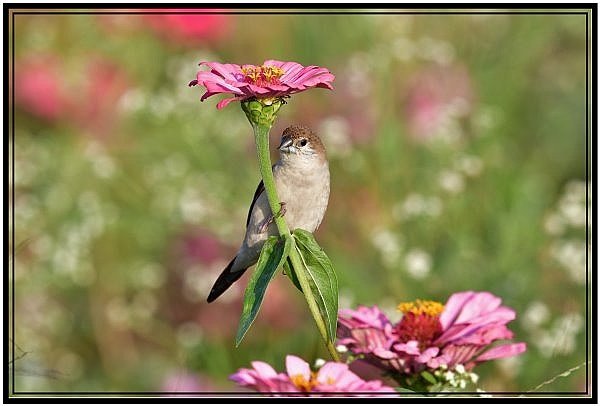 DSC_5505.jpg