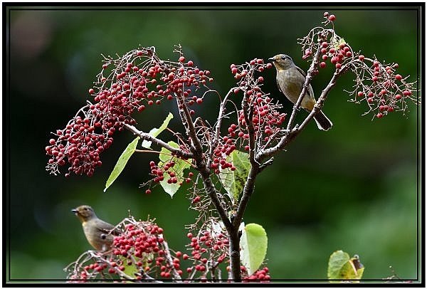 DSC_5038.jpg