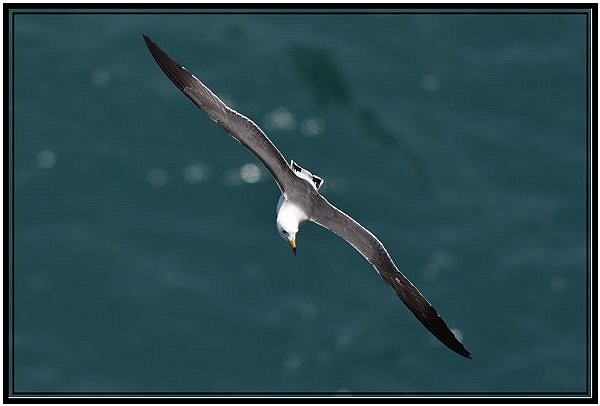 DSC_3558.jpg
